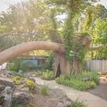 Botanical Garden of the Ozarks