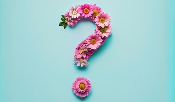 The Wedding Website of Jordan Joplin and Brandon Cowell