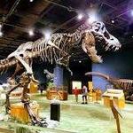 Orlando Science Center