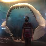Visit the Bishop Museum
