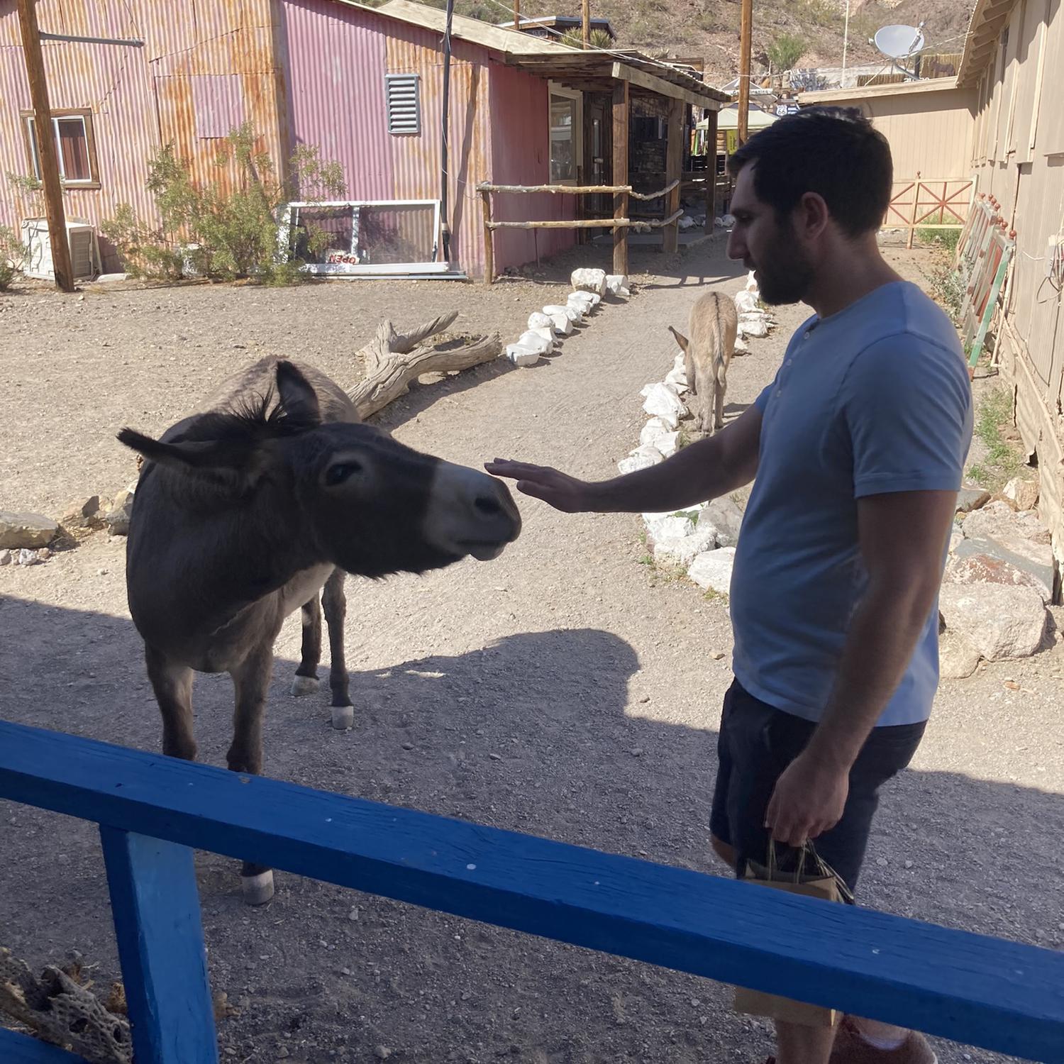 Eugene's favorite animal is a donkey! So a trip to Oatman AZ to visit his furry friends was a must!