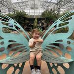Butterfly Wonderland