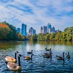 Piedmont Park