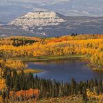 Grand Mesa Fall Colors Viewing