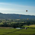 Napa Valley