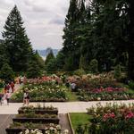 International Rose Test Garden