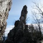 Dragon's Tooth Trail