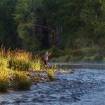 Fishing