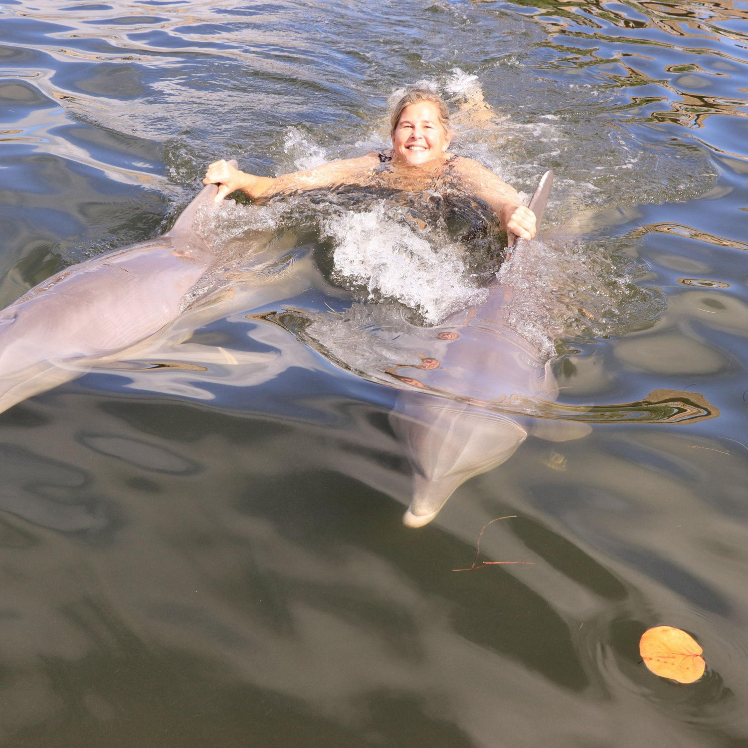 Kristy is being pulled lovingly by the dolphins in the Florida Keys.
