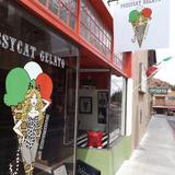 PussyCat Gelato