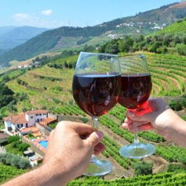 Honeymoon | Tours and Excursions Contribution