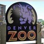 Denver Zoo