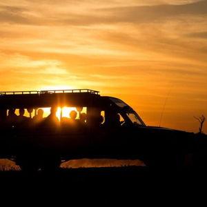 Tarangire Night Game Drive