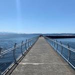 Ogden Point Breakwater