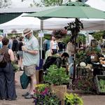 Burlington Farmers Market
