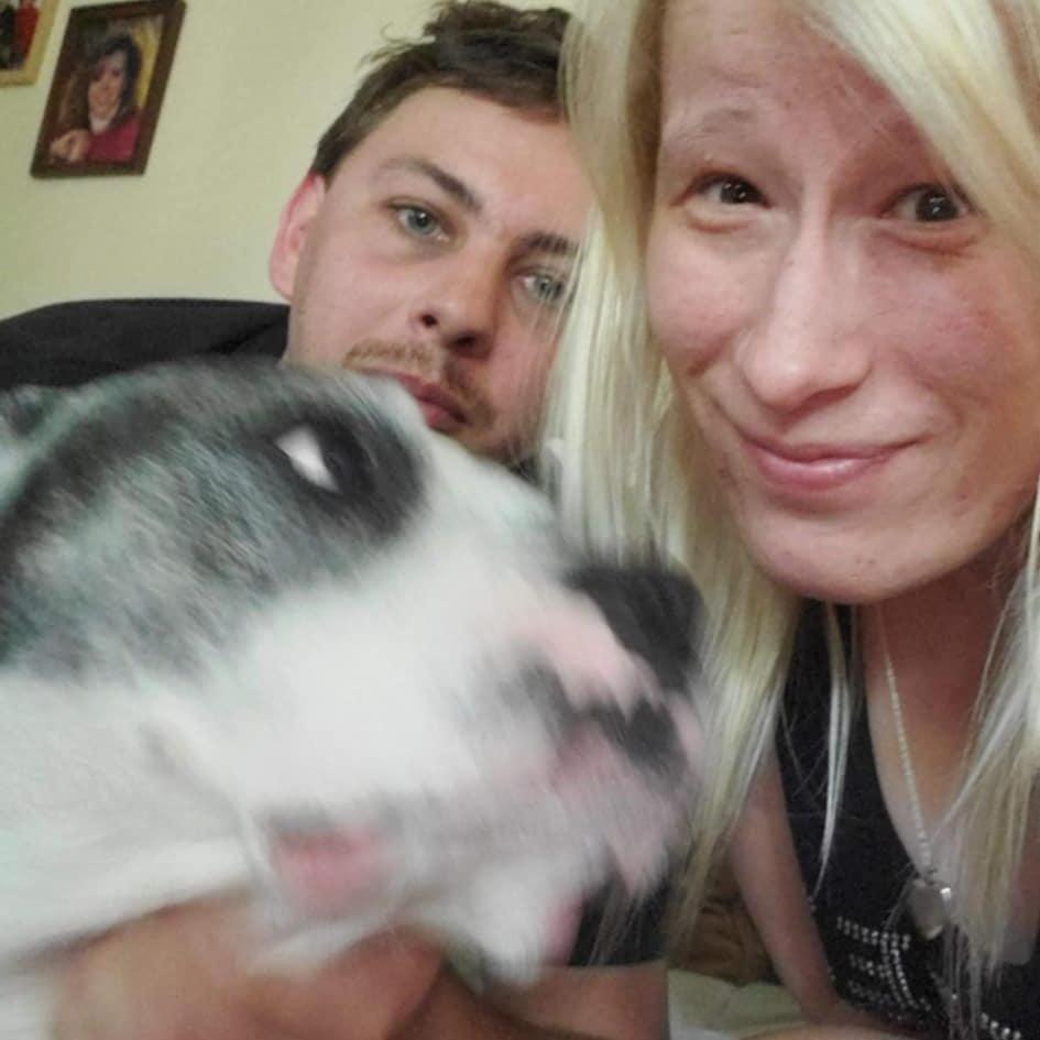 Matts dog Ace