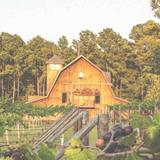 Walkers Mill Vineyard & Winery