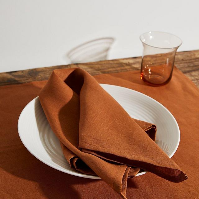 100% Linen Napkins in Rust (Set of Four)