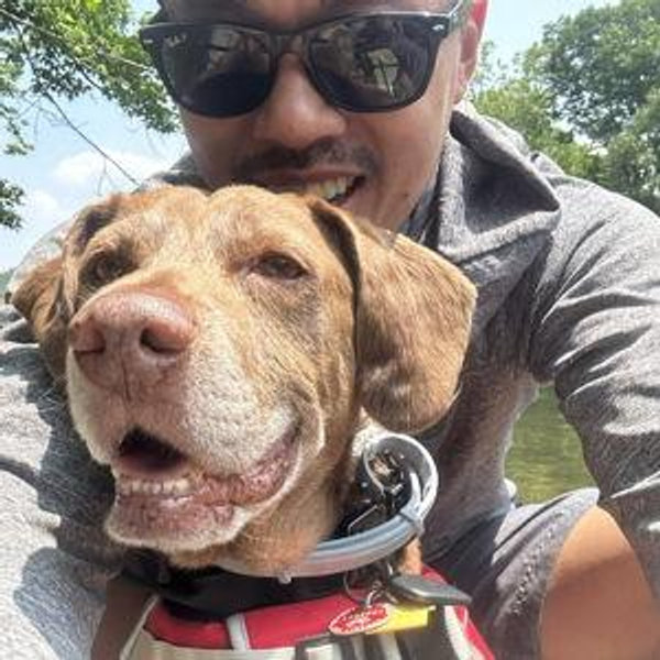 AMA Animal Rescue (via Dan's Venmo)