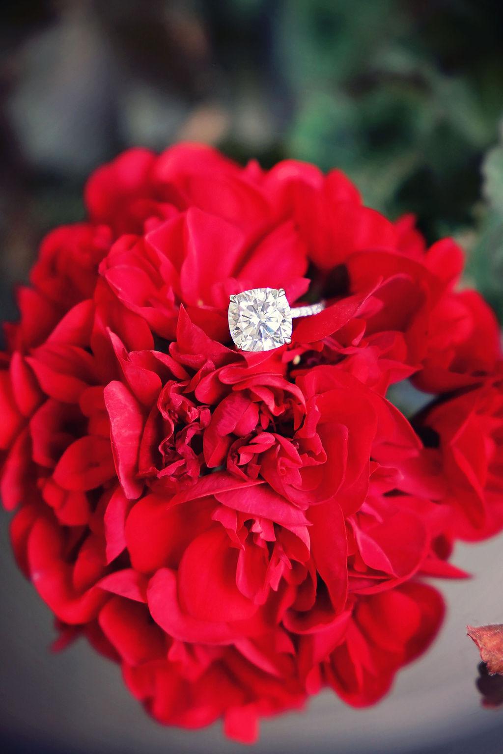 The Wedding Website of Katie Ferguson and James Goff