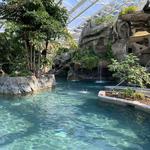 Swimming