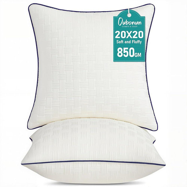 Oubonun 20x20 Pillow Inserts Set of 2 - Square Decorative Throw Pillows for Couch Bed Sofa Living Room Down Alternative Polyester Filling 20 Inch Insert(Beige)