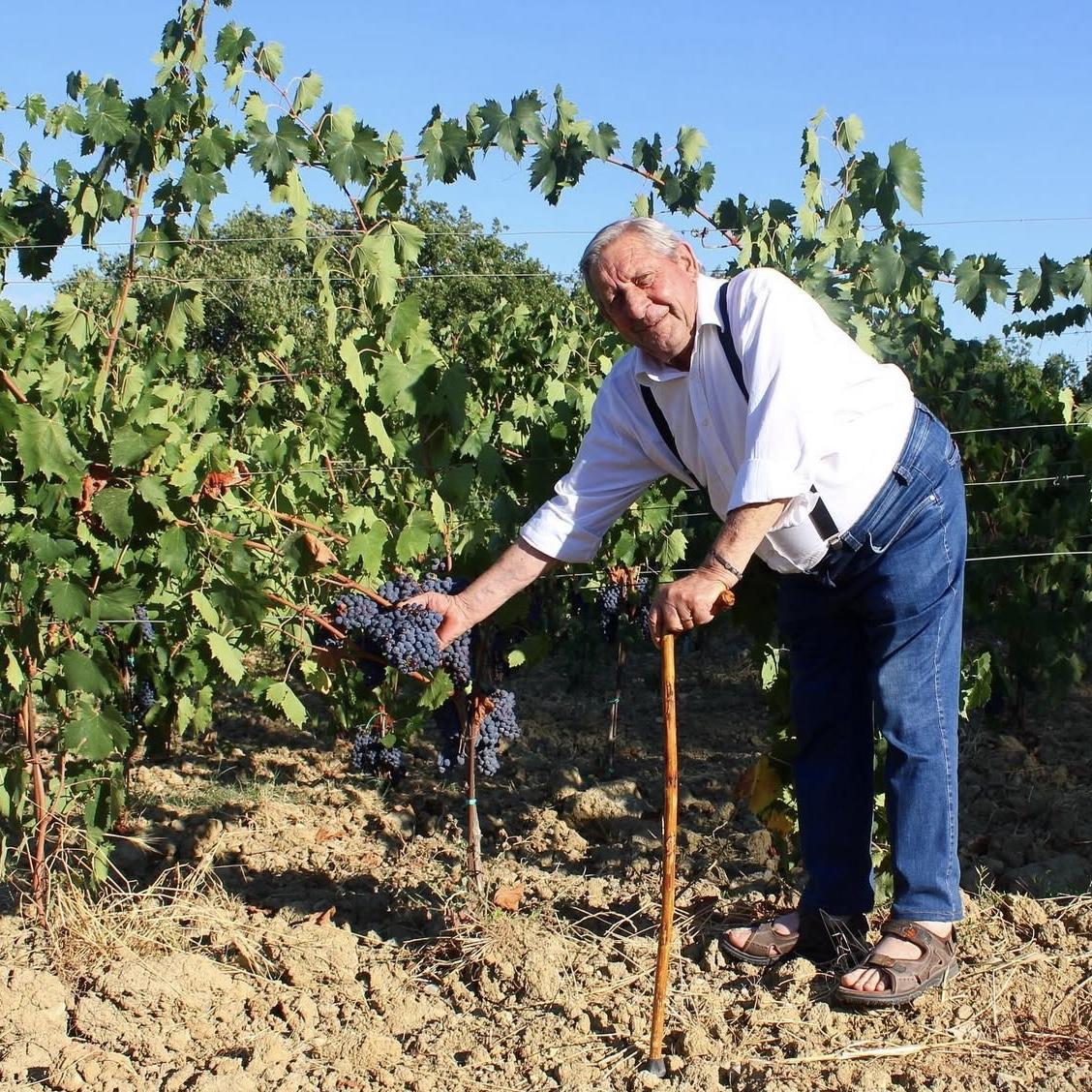 We will enjoy wine from our venue’s very own vineyard, lovingly tended by hands that know this land best a tradition kept alive by those who have nurtured these grapes for generations.