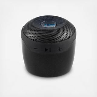 Voice Speaker
