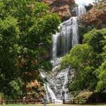 Walter Sisulu National Botanical Garden Offices