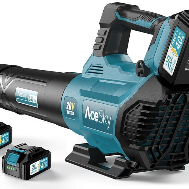 Leaf Blower Cordless - 580CFM/160MPH & 3 Speed Levels Electric Leaf Blower with 2 x 4.0Ah Battery and Charger, Extension Tube Blower for Lawn Care, Yard, Garage, Blowing Leaves, Dust or Snow, Blue