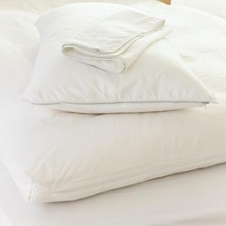 Pillow Protector, Set of 2