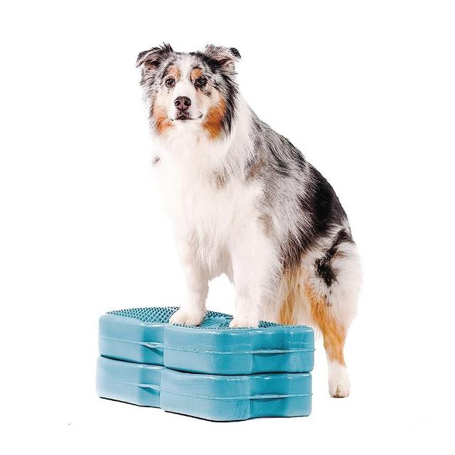 Blue-9 Propel Air Platform Kit, Professionally Designed Dog Training Accessories and Pet Products, 2-Pack, Turquoise