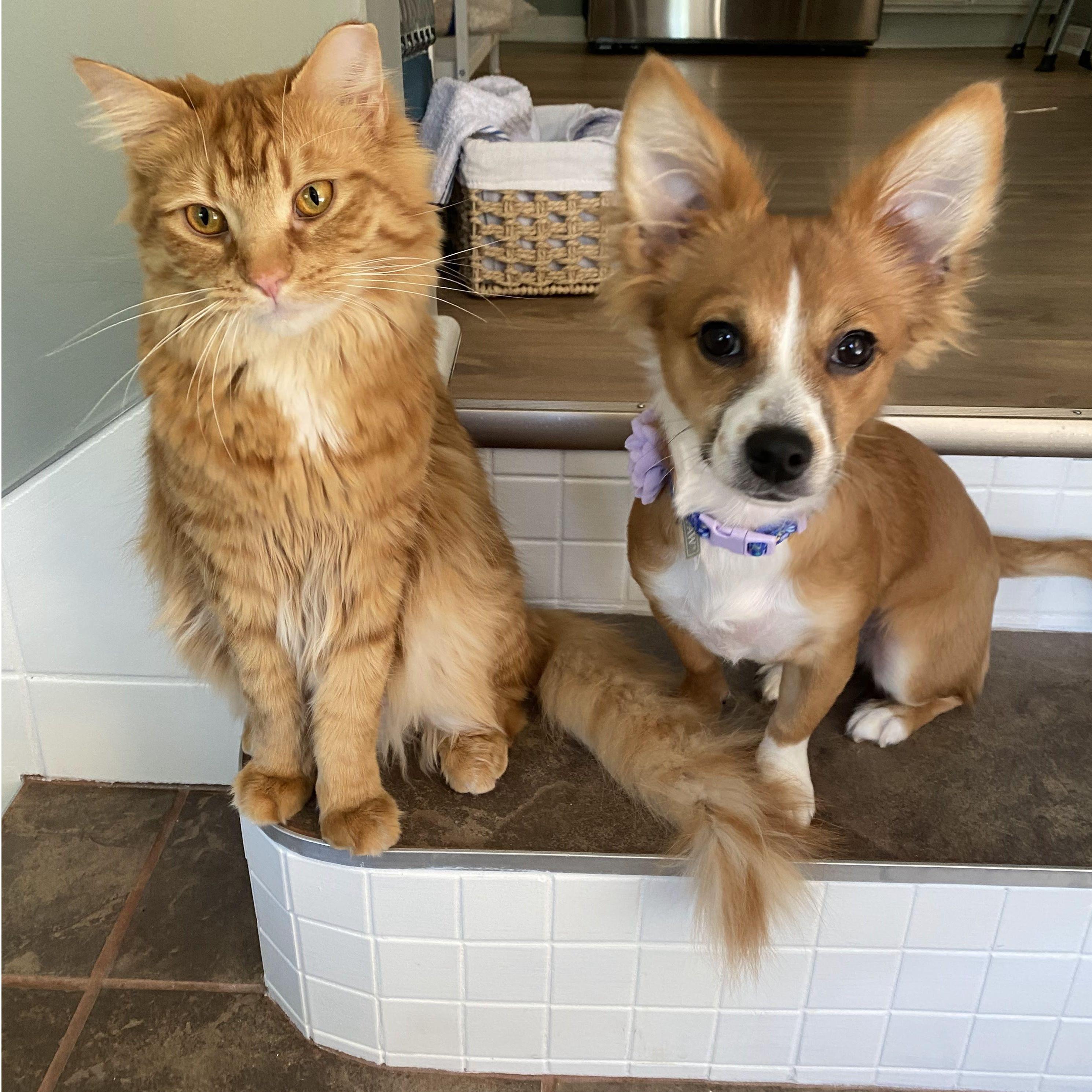 Theo and Zuri, partners in crime
