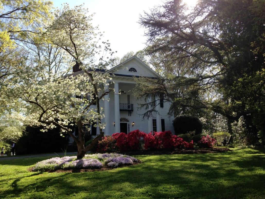 The Wedding Website of Rachel Lerman and Johnny Efstathiades