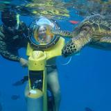 Snorkeling, Helmet Diving, or Underwater Scooter