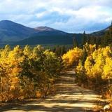 Boreas Pass Road