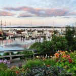 Eastern Maine Images