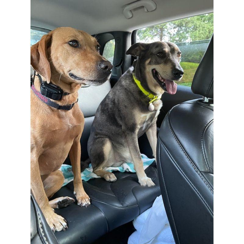 The kids