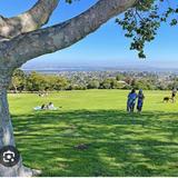Kate Sessions Memorial Park
