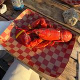 Burnt Cove Boil