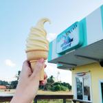 Surfin' Turtle Ice Cream Shoppe
