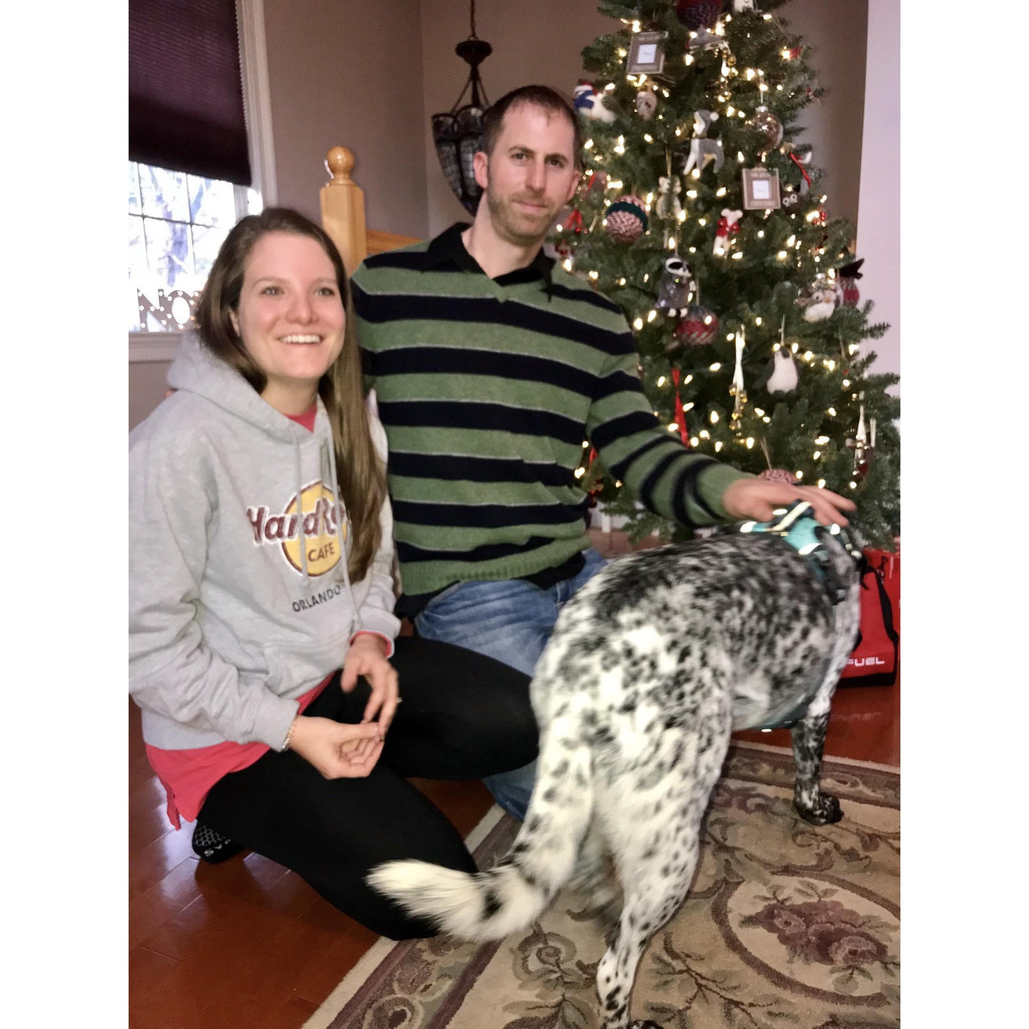 12/25/2018 - Christmas Day Proposal