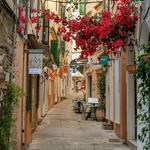 Light activity ideas for guests