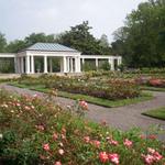 Delaware Park Rose Garden