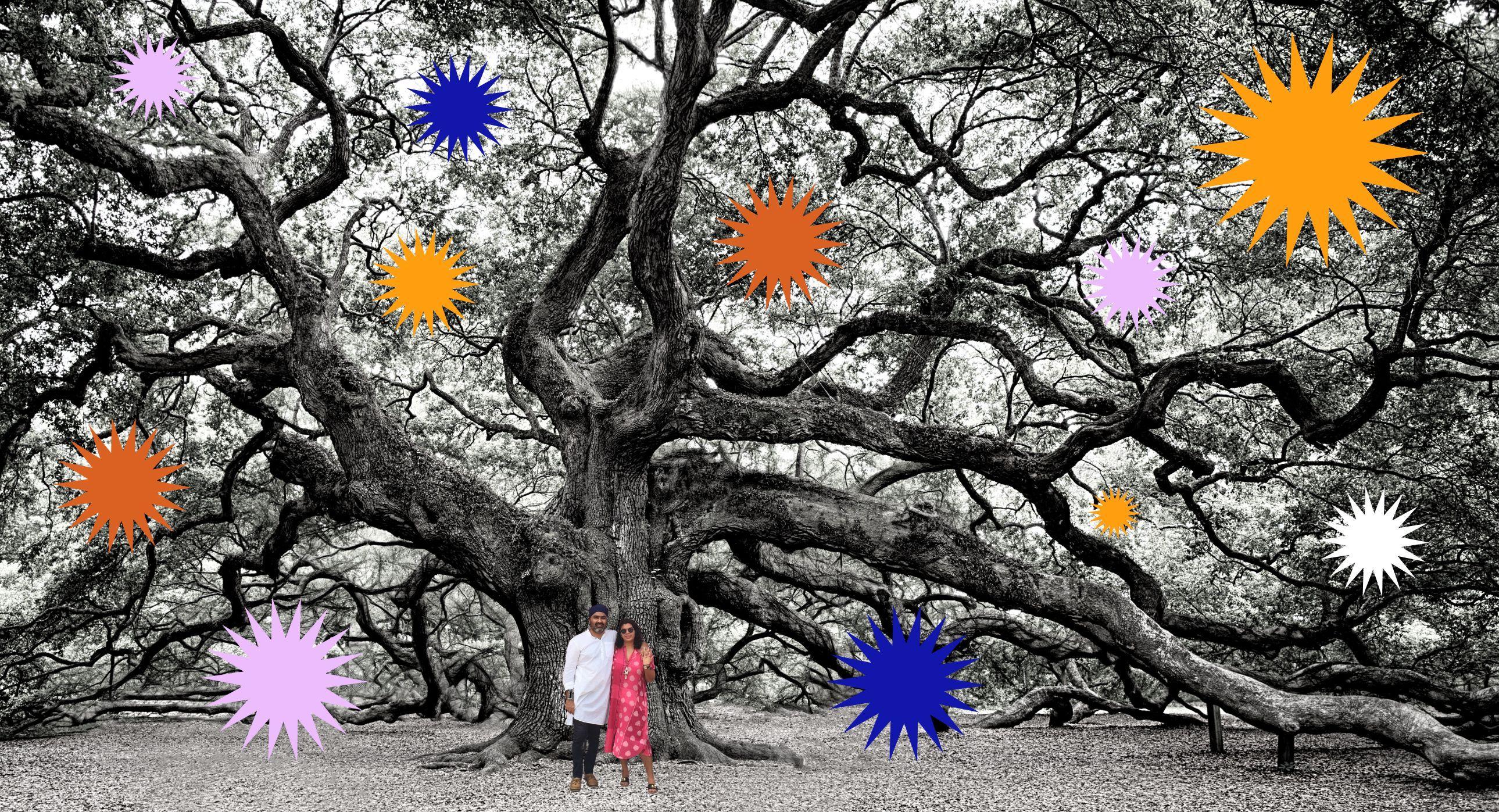 The Wedding Website of Meera Dugal and Rajbir Dadhiyala