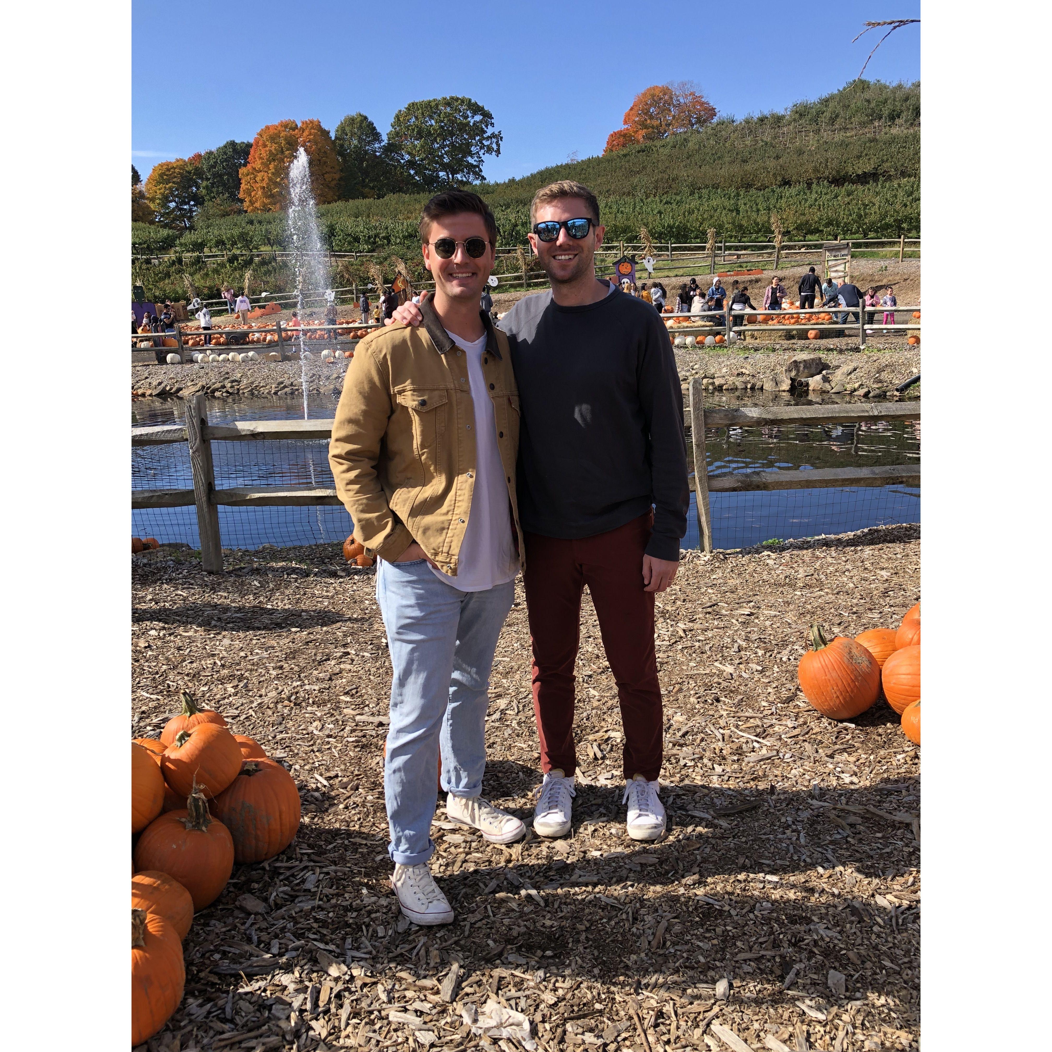 Tom's First New England Fall