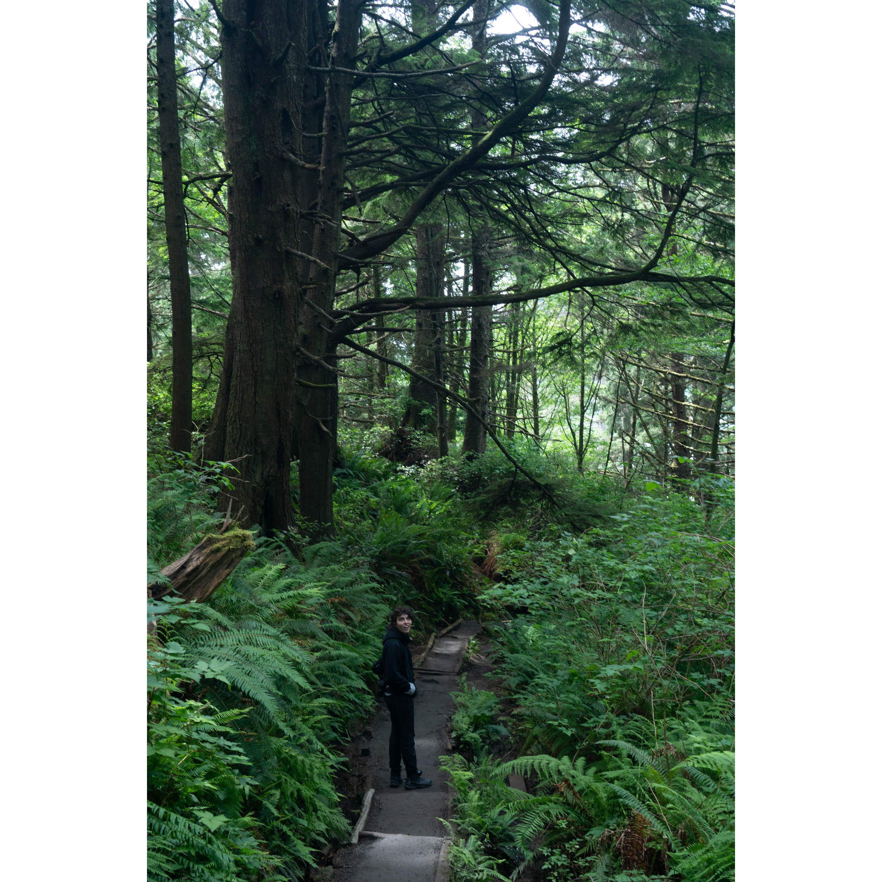 Rex on the trail to Third Beach on the Olympic Peninsula