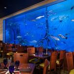 RumFish Grill
