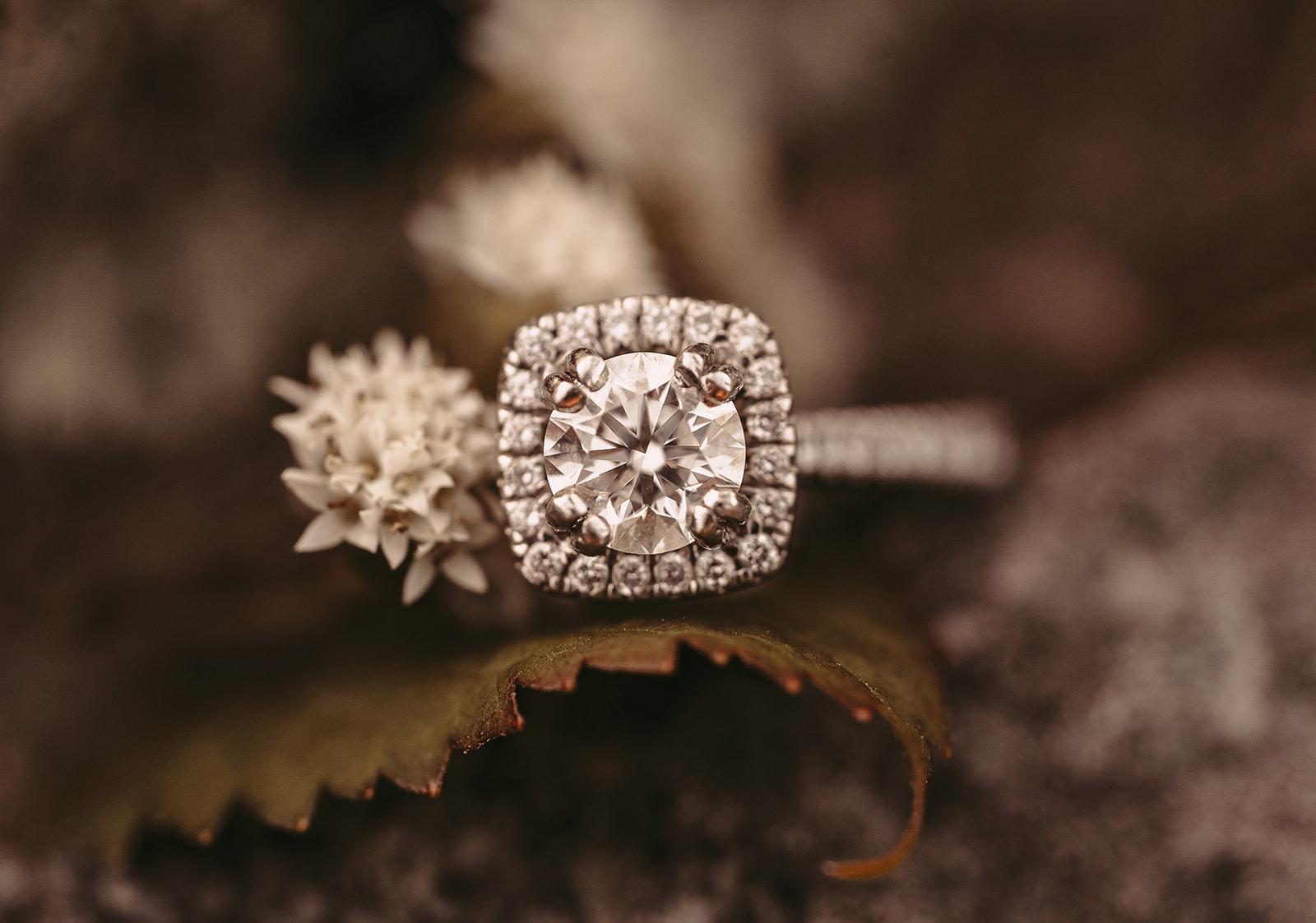 The Wedding Website of Robert Davis and Shannon Rhoads
