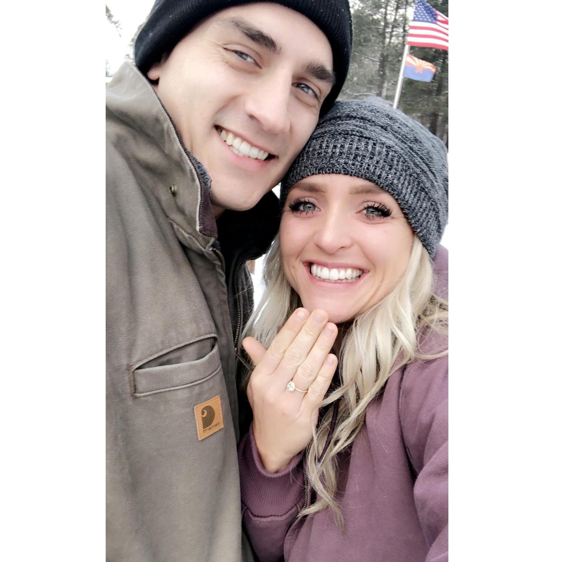 David proposes in Alpine with family!